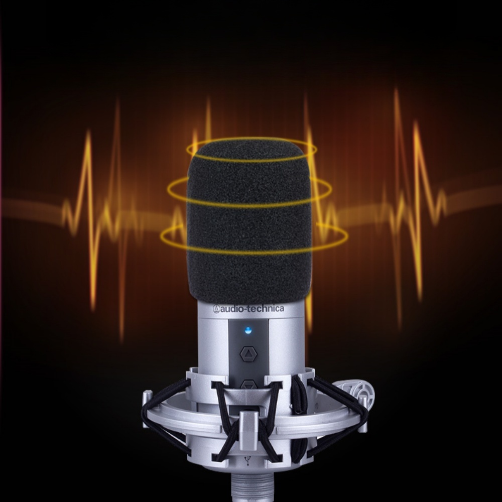 2PCS AT2020 Microphone Windscr - огляд і ціна Ribbon Microphone
