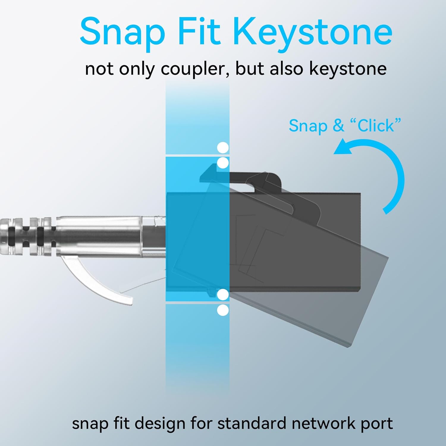 RJ45 Cat6 Keystone Coupler Int - огляд і ціна Rj45 Jack